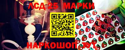 стафф Будённовск