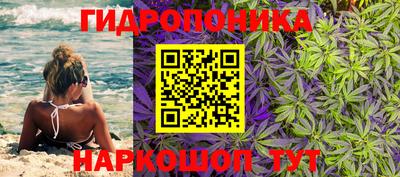 мяу мяу мука Бузулук
