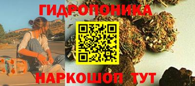 мяу мяу мука Бузулук