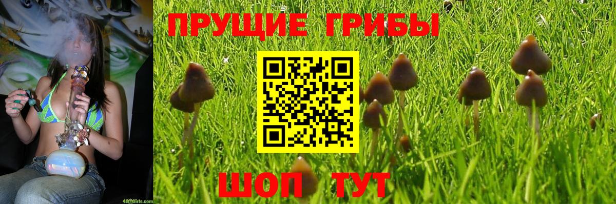 Псилоцибиновые грибы MAGIC MUSHROOMS Арзамас